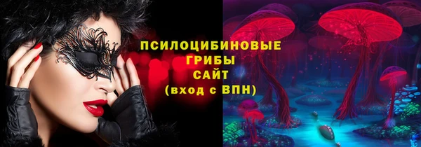 СК Верхний Тагил