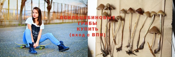 СК Верхний Тагил