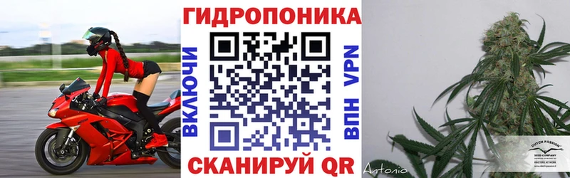 Марихуана MAZAR  Купить закладки  Гаврилов Посад 